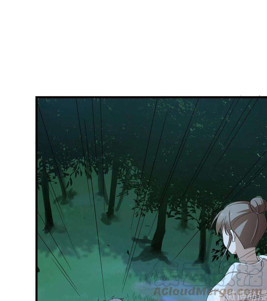 毒步天下：特工神医小兽妃257