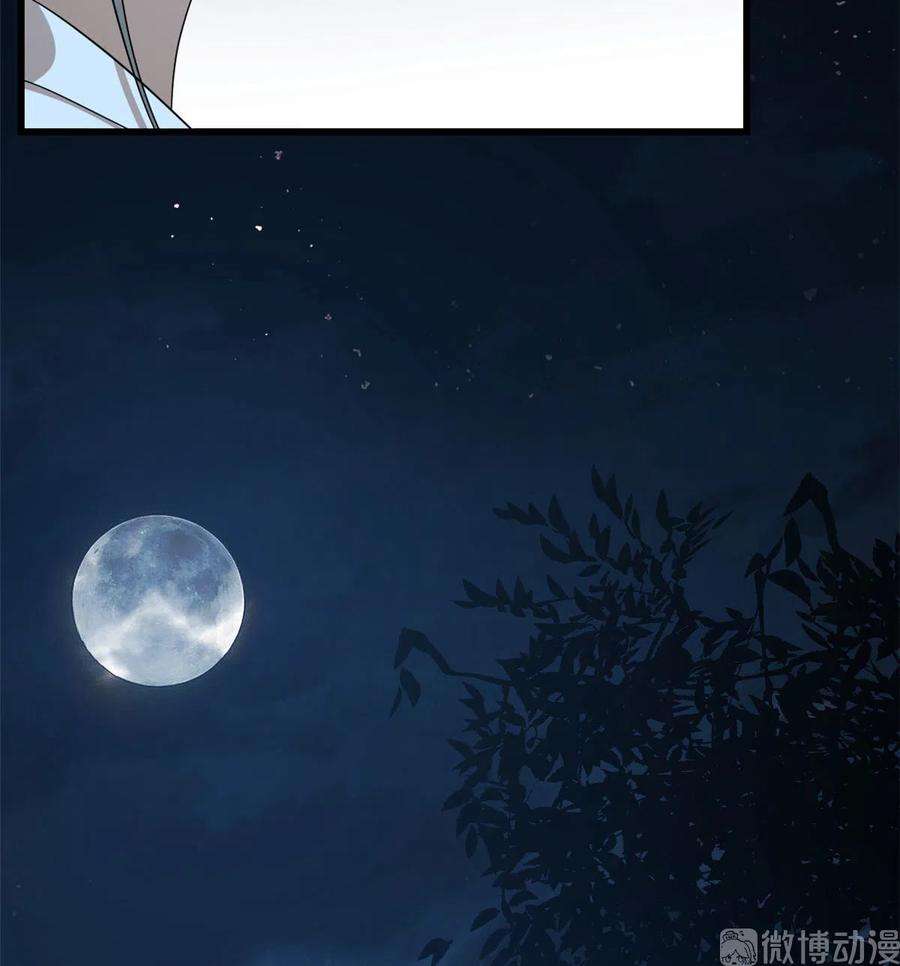 毒步天下：特工神医小兽妃257