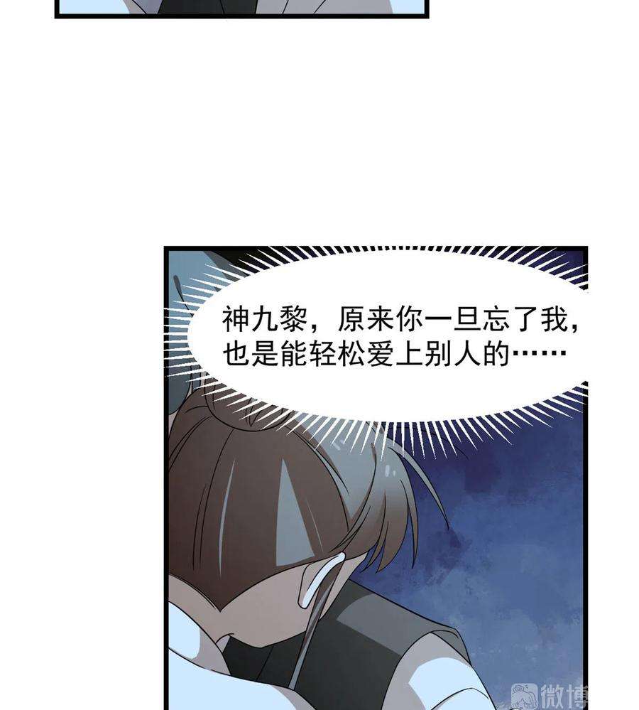 毒步天下：特工神医小兽妃258