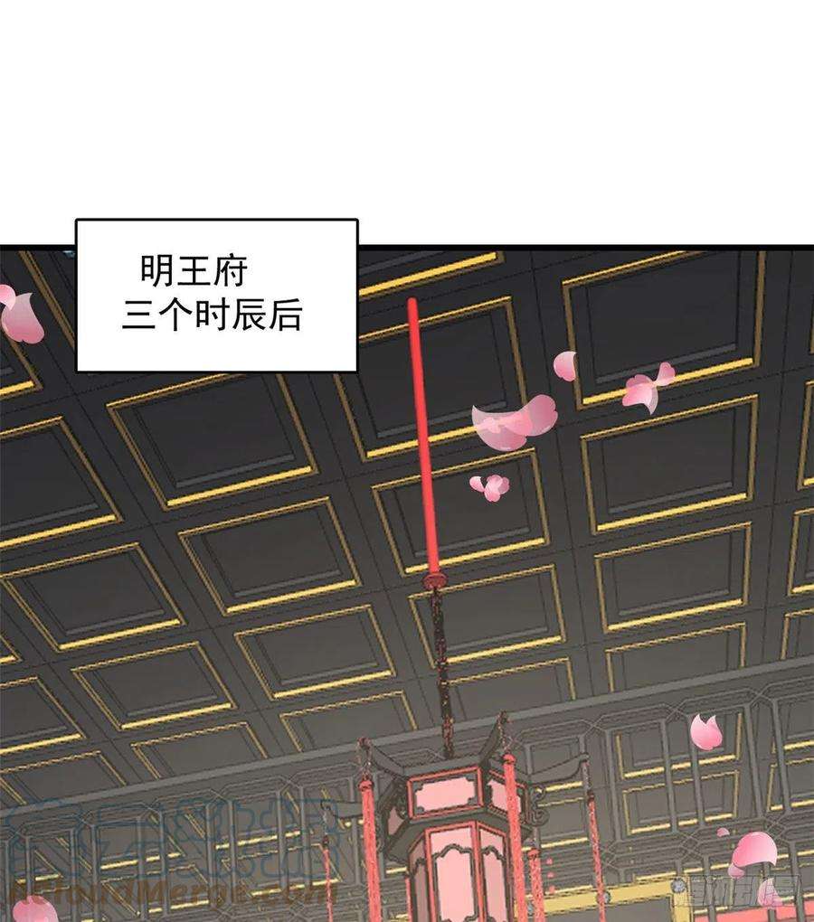 毒步天下：特工神医小兽妃264