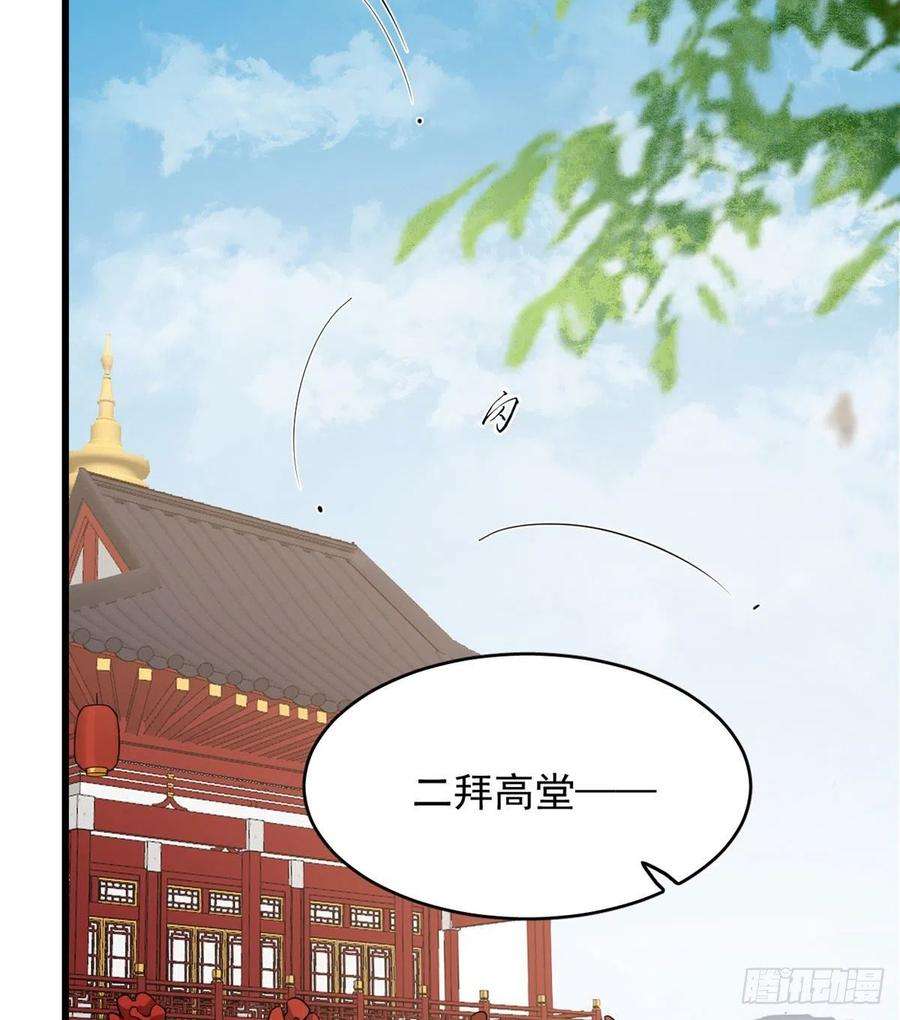 毒步天下：特工神医小兽妃264