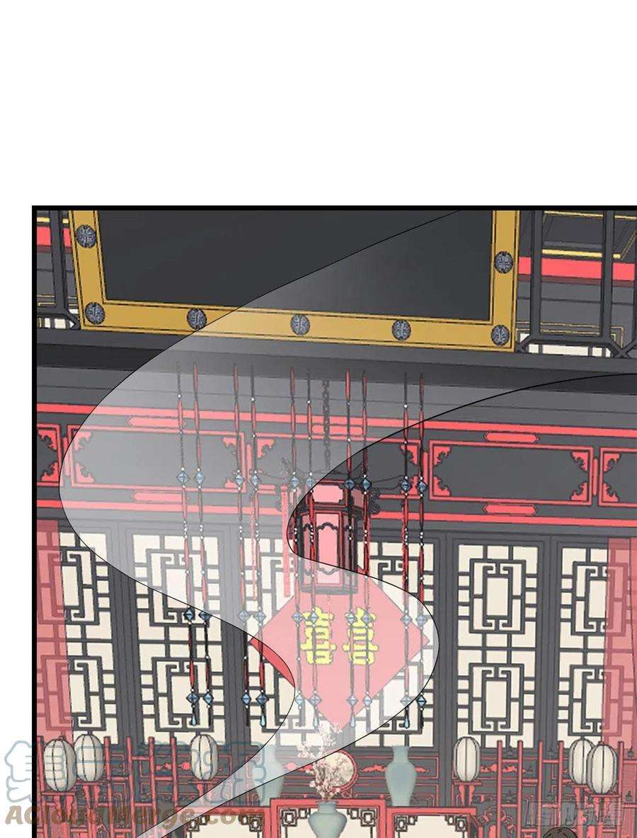 毒步天下：特工神医小兽妃264
