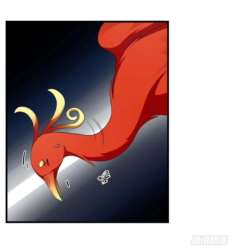 毒步天下：特工神医小兽妃265