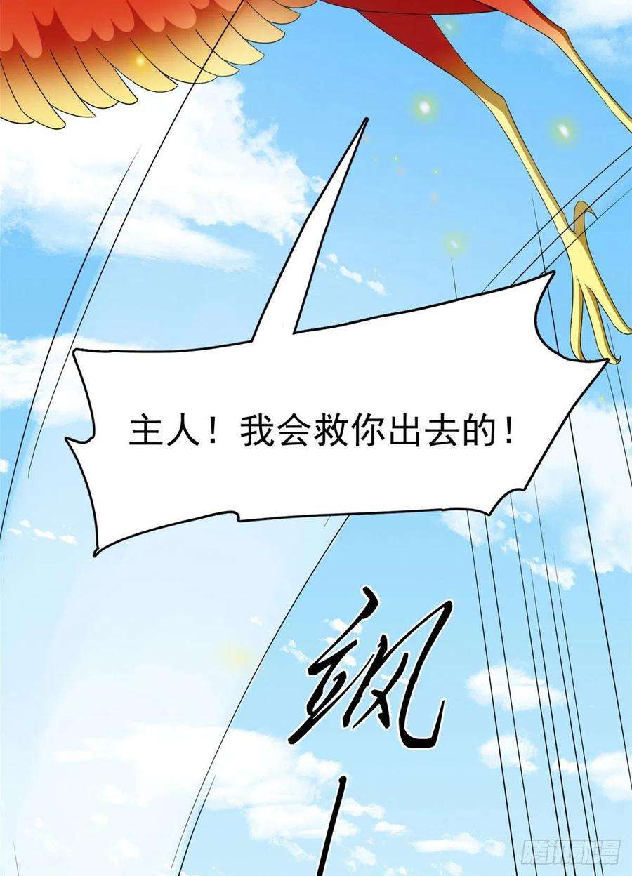 毒步天下：特工神医小兽妃265