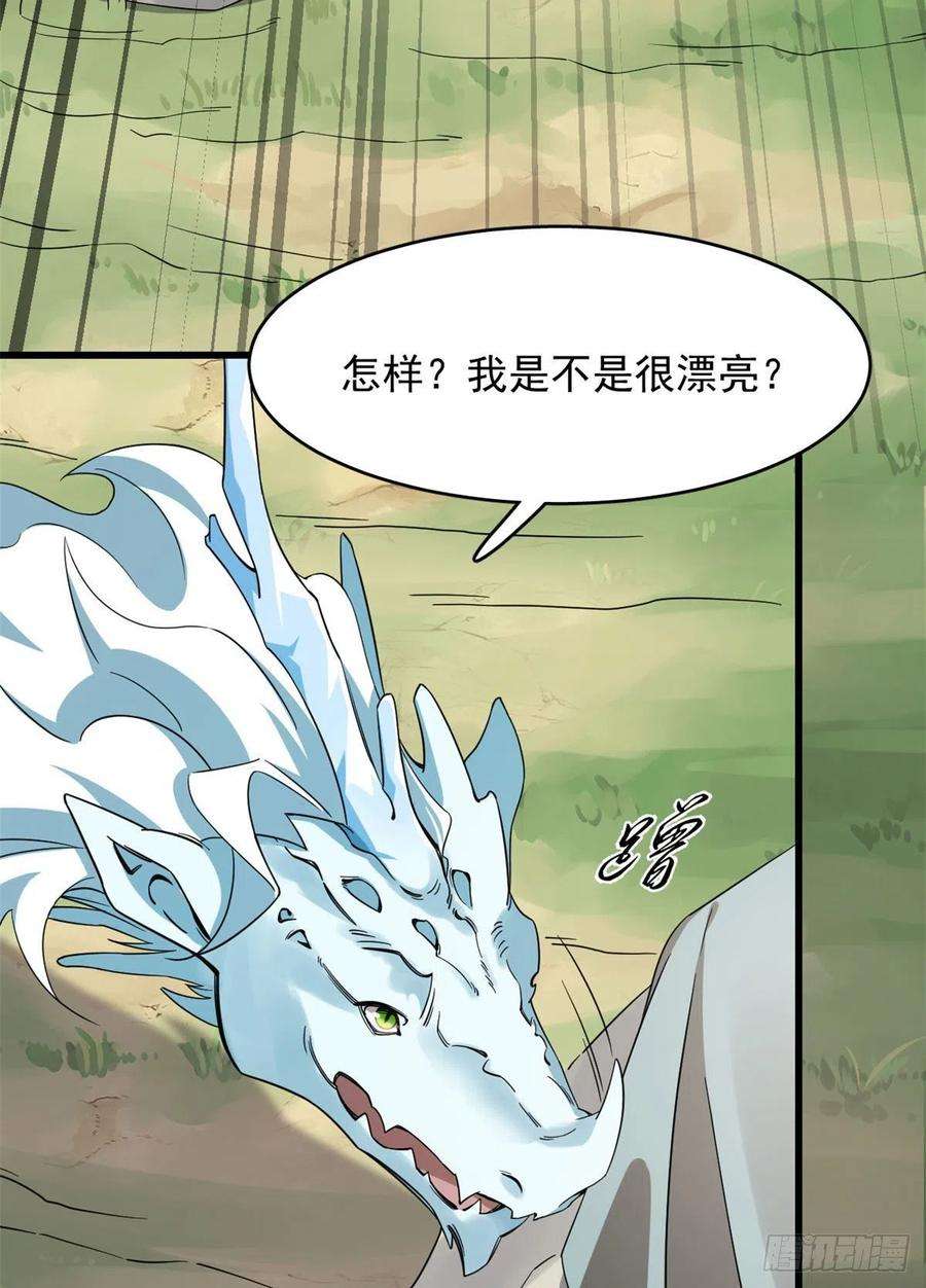 毒步天下：特工神医小兽妃265