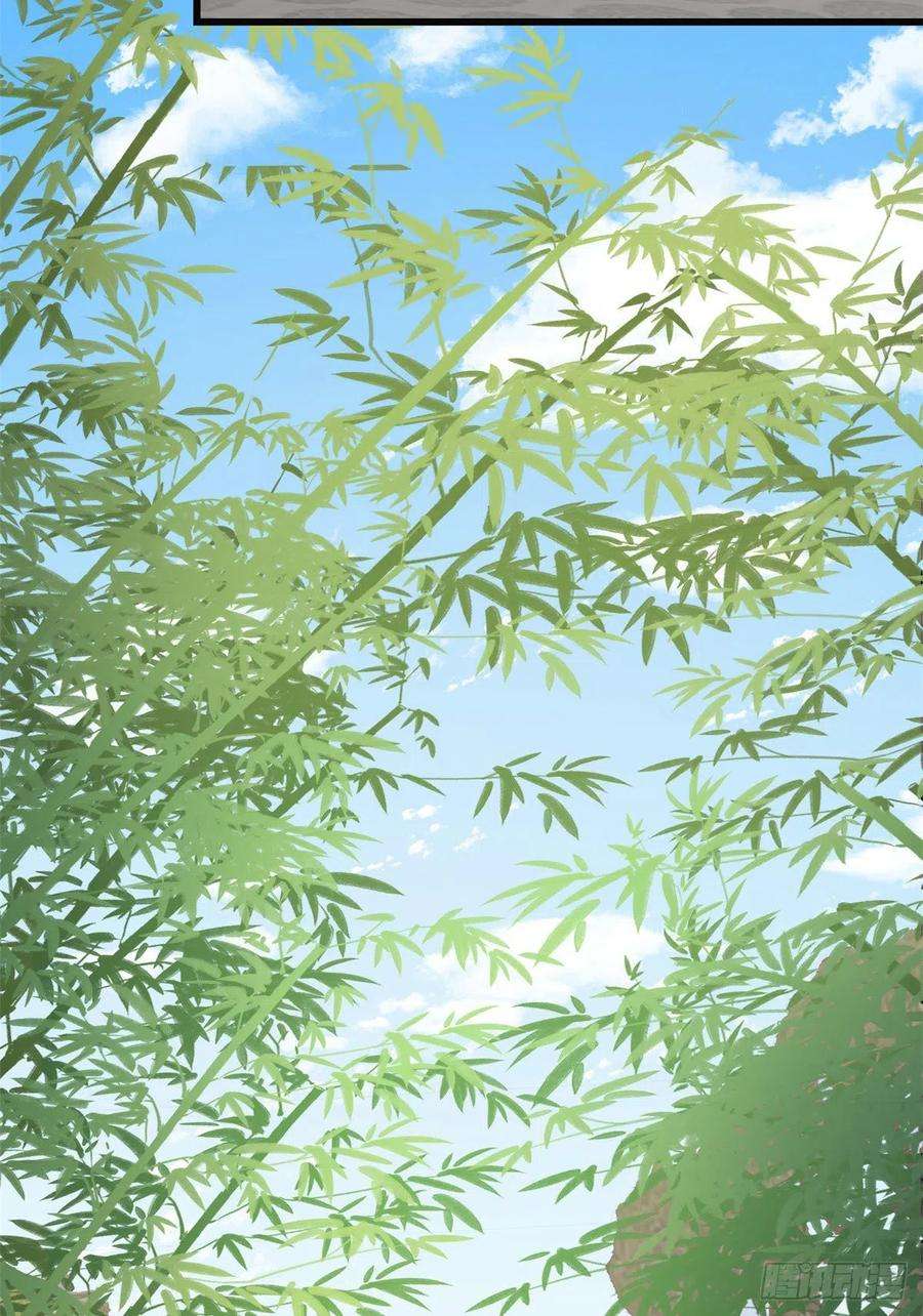 毒步天下：特工神医小兽妃271