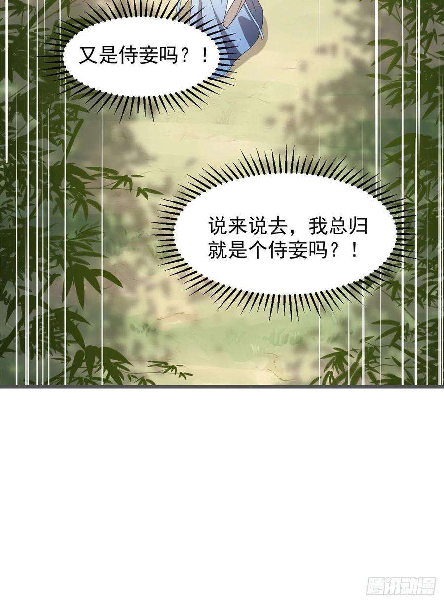 毒步天下：特工神医小兽妃272