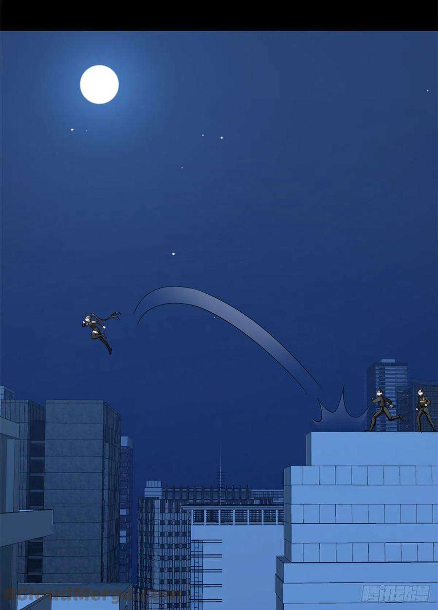 毒步天下：特工神医小兽妃275