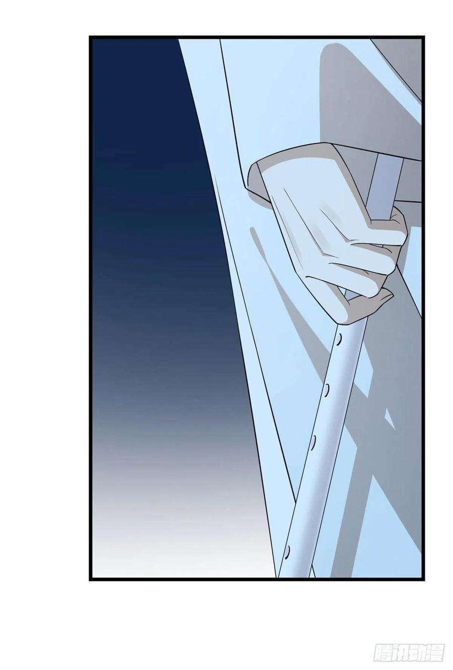 毒步天下：特工神医小兽妃290