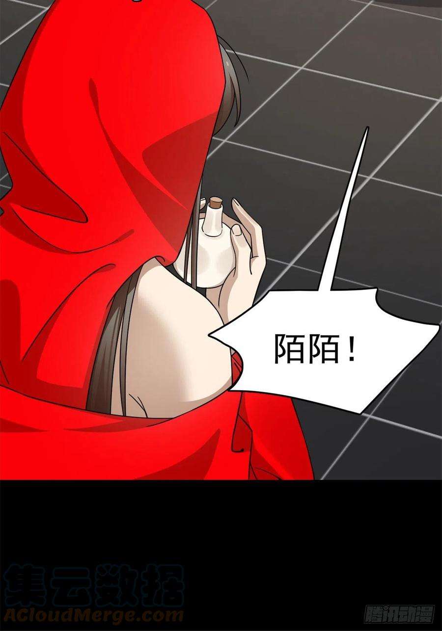 毒步天下：特工神医小兽妃295