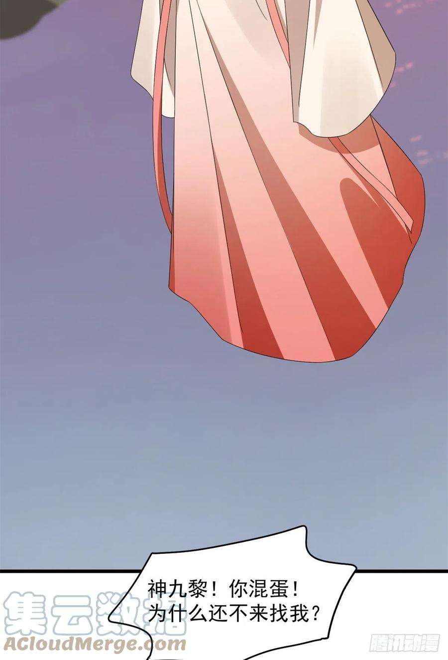 毒步天下：特工神医小兽妃300