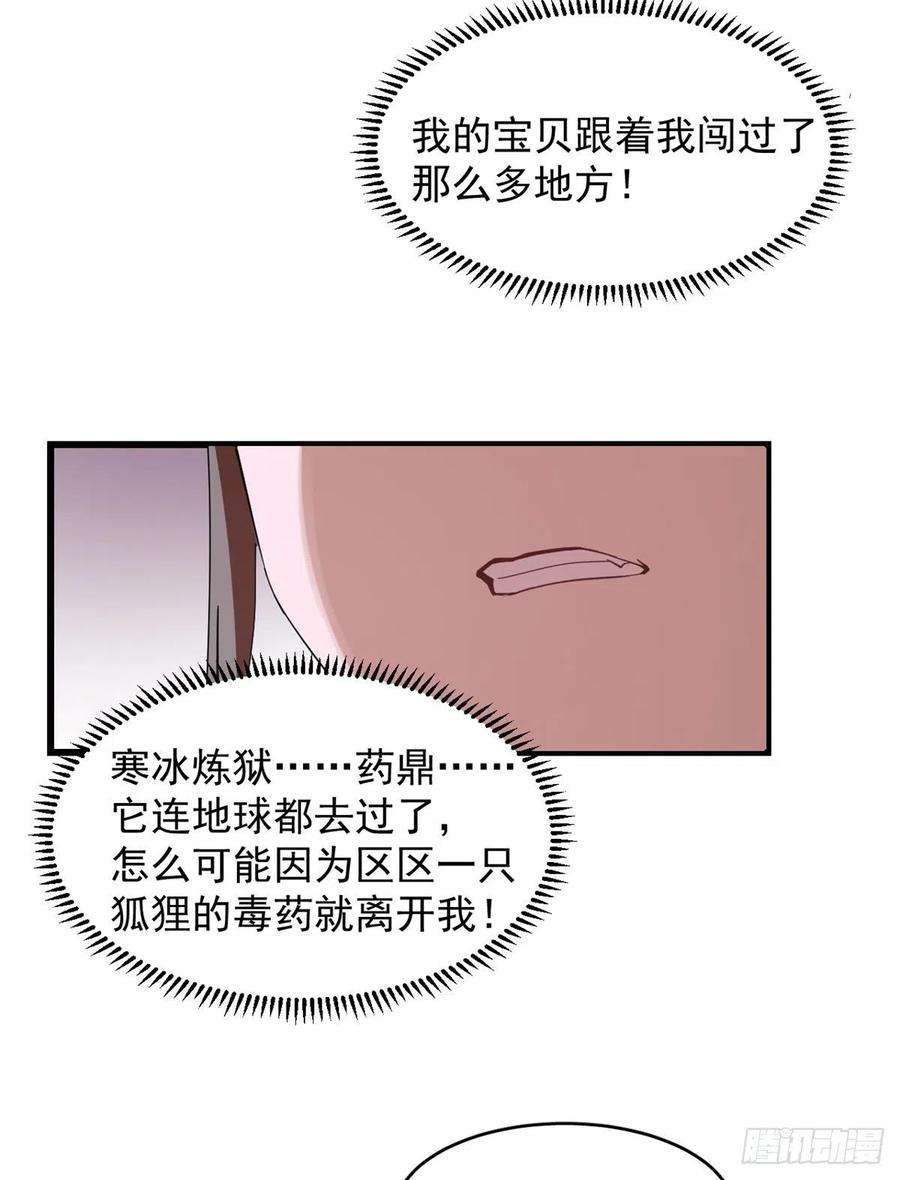 毒步天下：特工神医小兽妃309