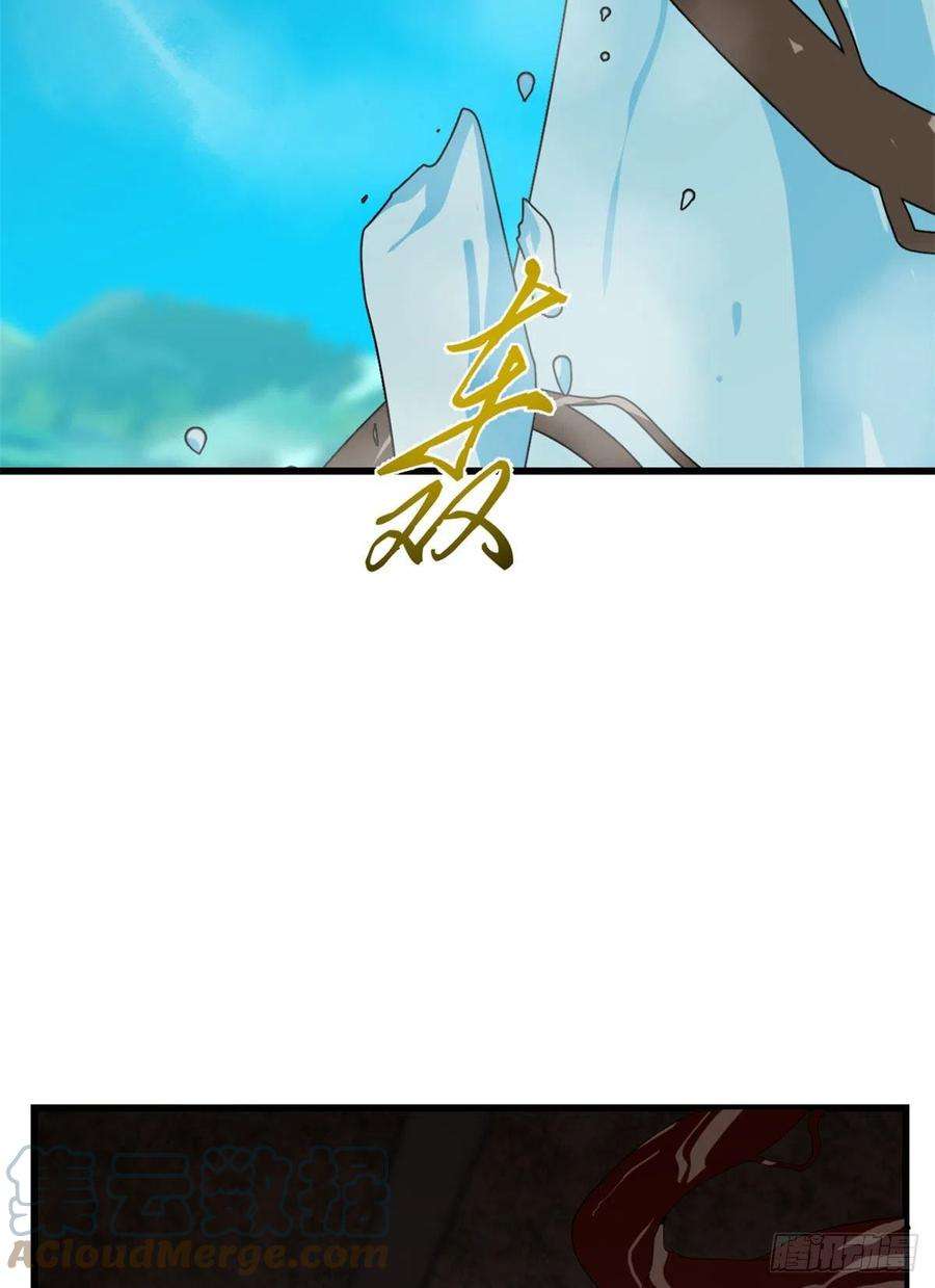 毒步天下：特工神医小兽妃310