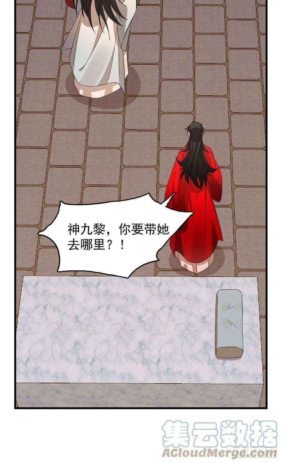 毒步天下：特工神医小兽妃316