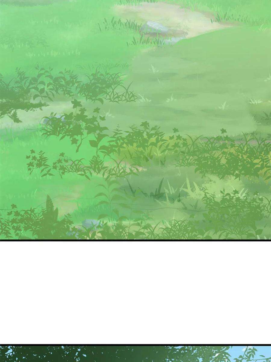 毒步天下：特工神医小兽妃319