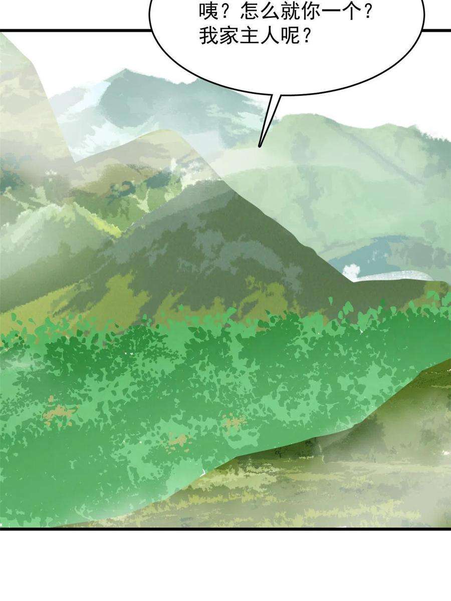 毒步天下：特工神医小兽妃325