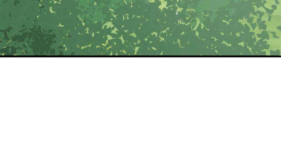 毒步天下：特工神医小兽妃325