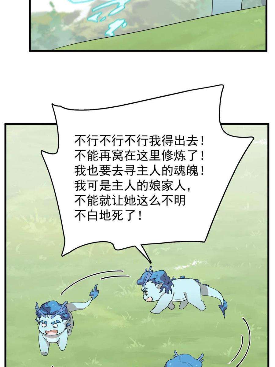 毒步天下：特工神医小兽妃326