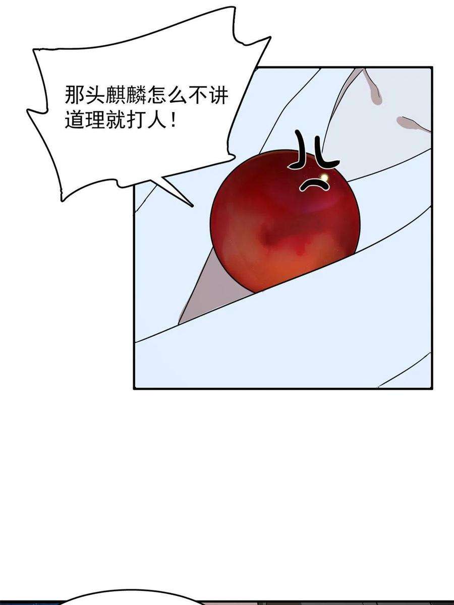 毒步天下：特工神医小兽妃326