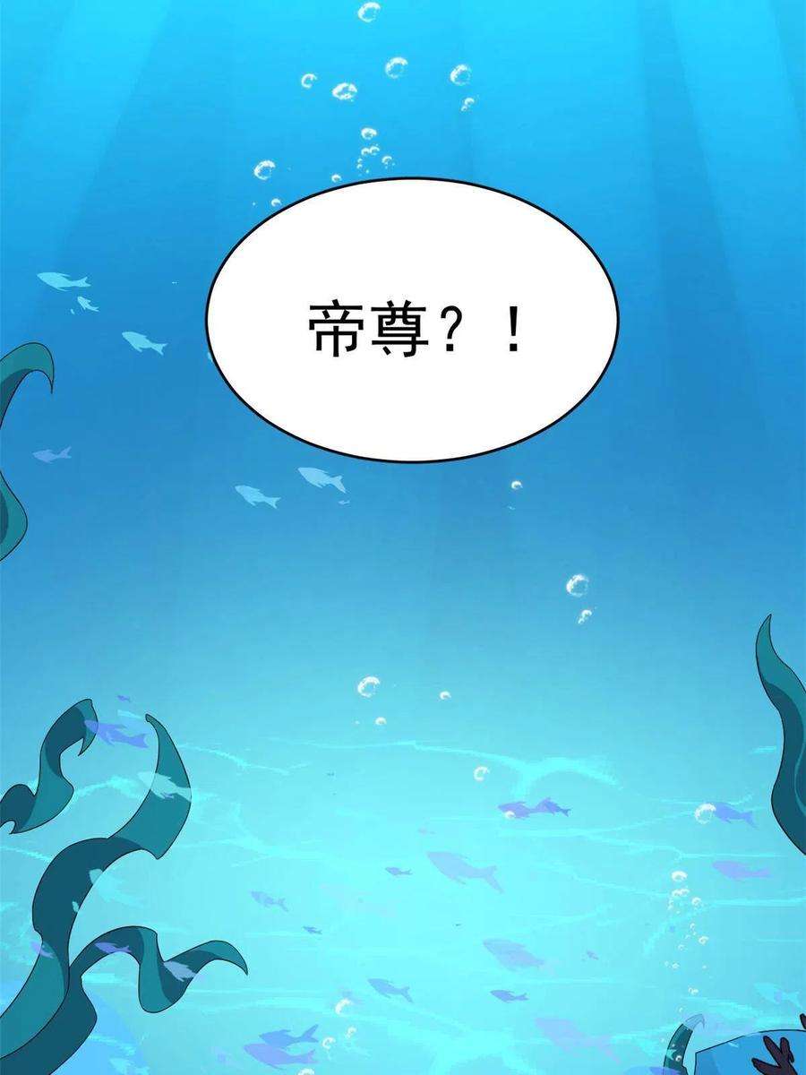 毒步天下：特工神医小兽妃328