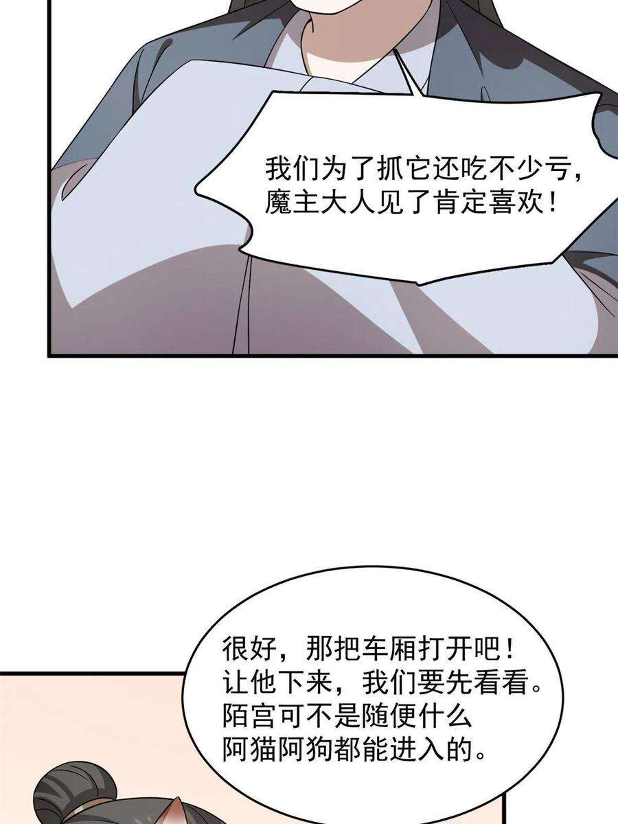 毒步天下：特工神医小兽妃331