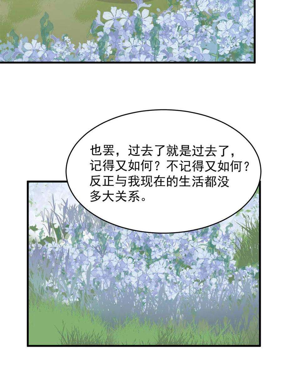 毒步天下：特工神医小兽妃331