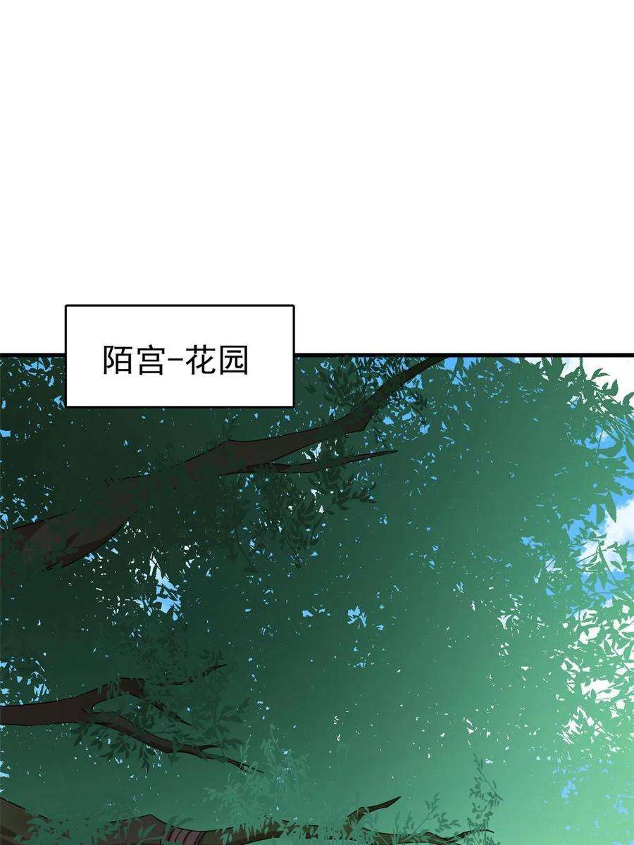 毒步天下：特工神医小兽妃332