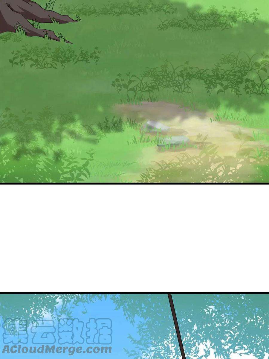 毒步天下：特工神医小兽妃332