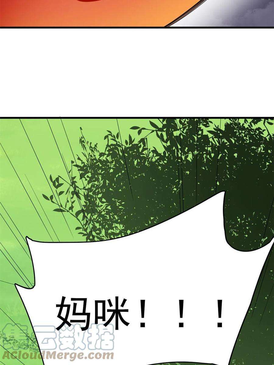 毒步天下：特工神医小兽妃332