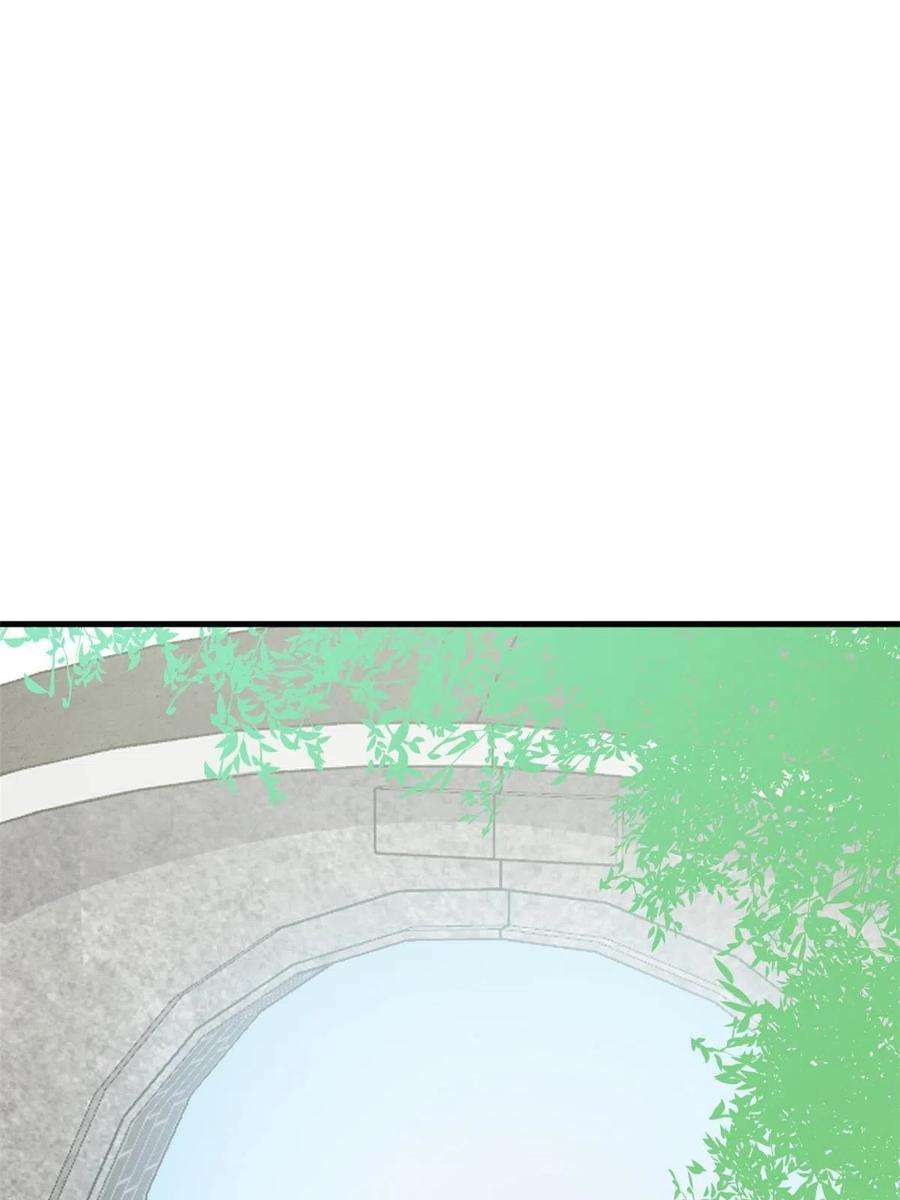 毒步天下：特工神医小兽妃333