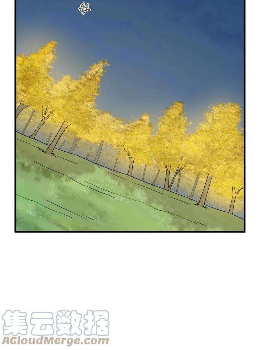 毒步天下：特工神医小兽妃335