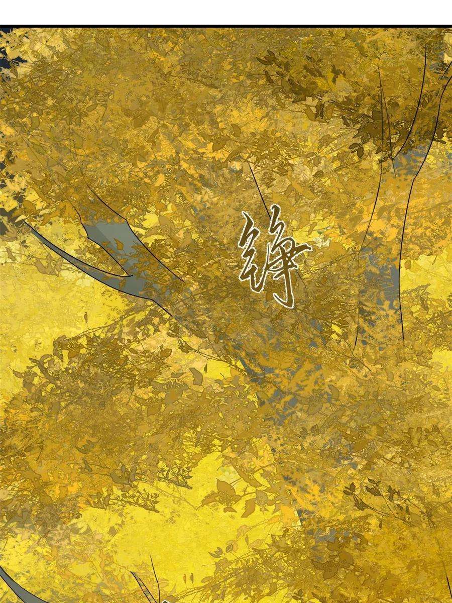 毒步天下：特工神医小兽妃335