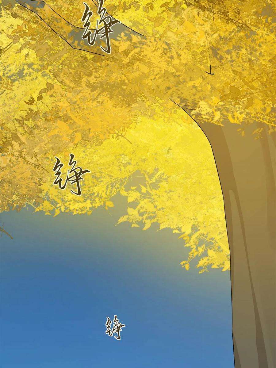 毒步天下：特工神医小兽妃335