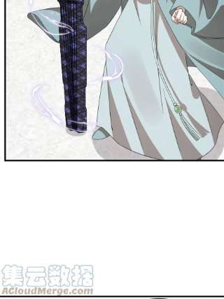 毒步天下：特工神医小兽妃338