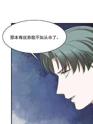 毒步天下：特工神医小兽妃338