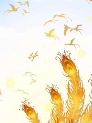 毒步天下：特工神医小兽妃338