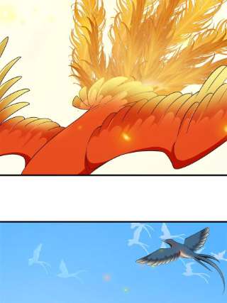 毒步天下：特工神医小兽妃338