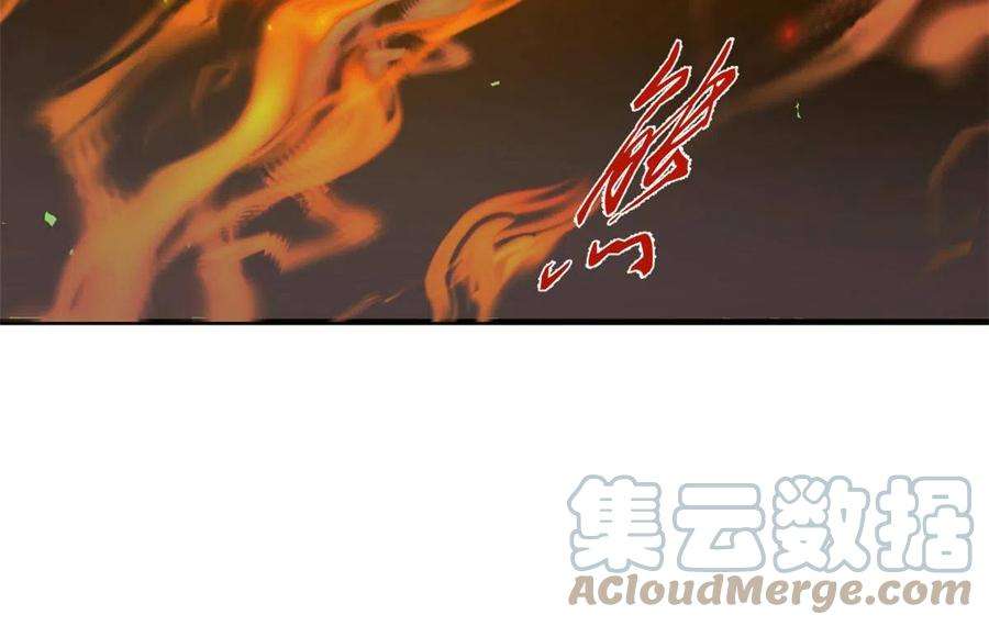 毒步天下：特工神医小兽妃344