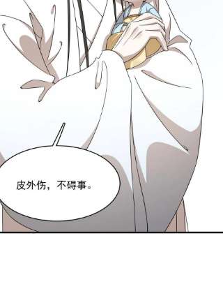 毒步天下：特工神医小兽妃345