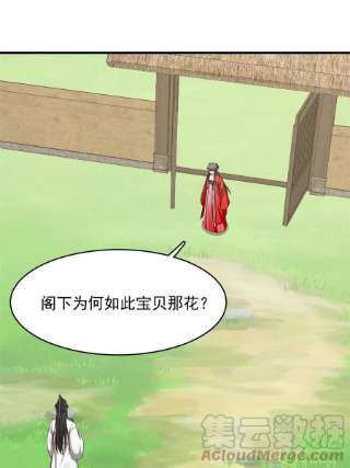 毒步天下：特工神医小兽妃345