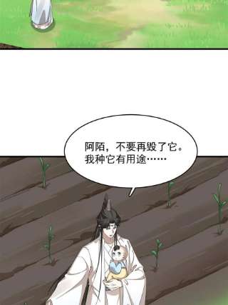 毒步天下：特工神医小兽妃345