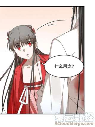 毒步天下：特工神医小兽妃345