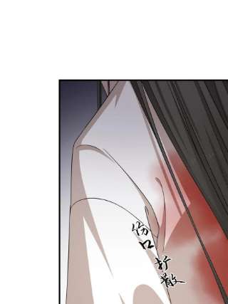 毒步天下：特工神医小兽妃345