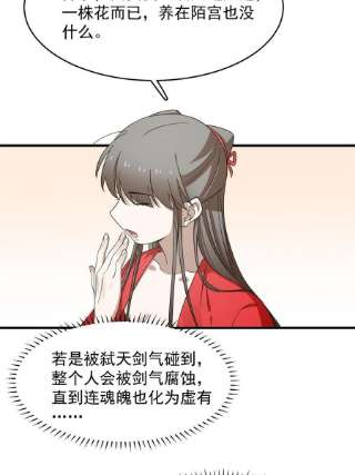 毒步天下：特工神医小兽妃345