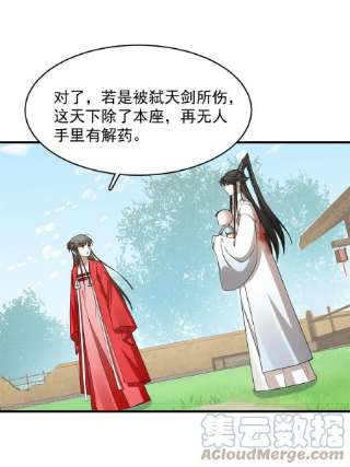 毒步天下：特工神医小兽妃345