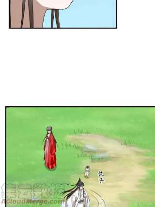 毒步天下：特工神医小兽妃345