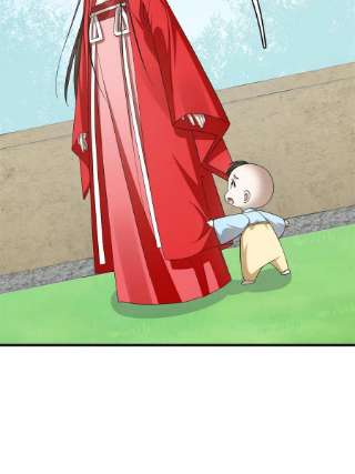 毒步天下：特工神医小兽妃345