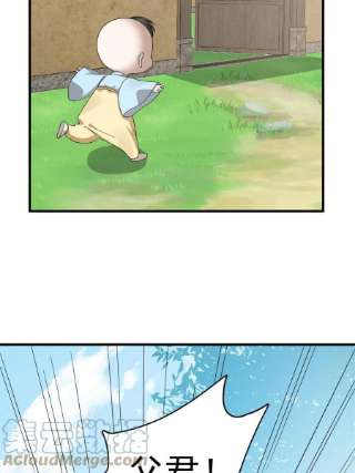 毒步天下：特工神医小兽妃345