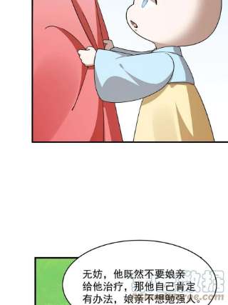 毒步天下：特工神医小兽妃345