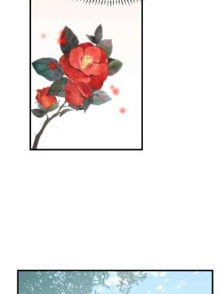 毒步天下：特工神医小兽妃345